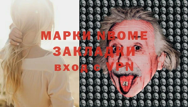 прущие грибы Заволжск