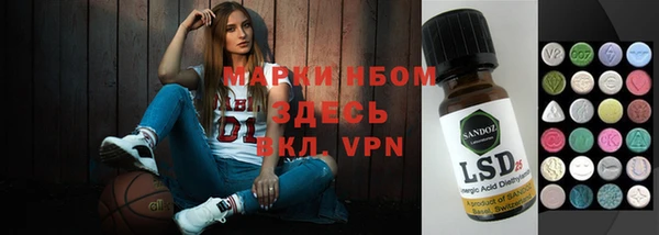 прущие грибы Заволжск