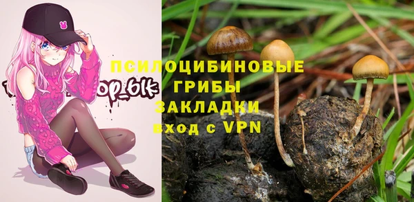 дживик Заводоуковск