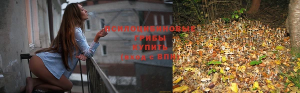 дживик Заводоуковск
