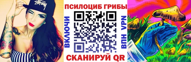 Галлюциногенные грибы ЛСД  где купить   Заречный 