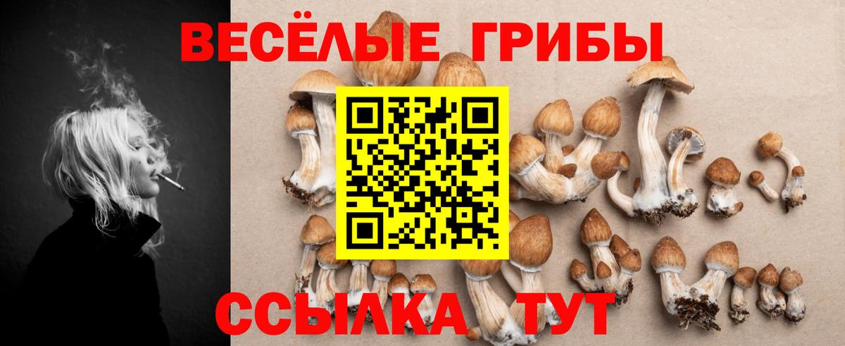 закладки  Псилоцибиновые грибы ЛСД  Псилоцибиновые грибы Magic Shrooms  Вход с VPN  Заречный 